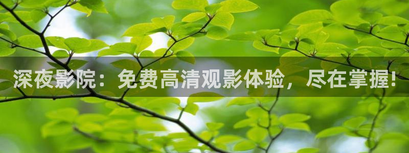 在线观看星空无限传媒