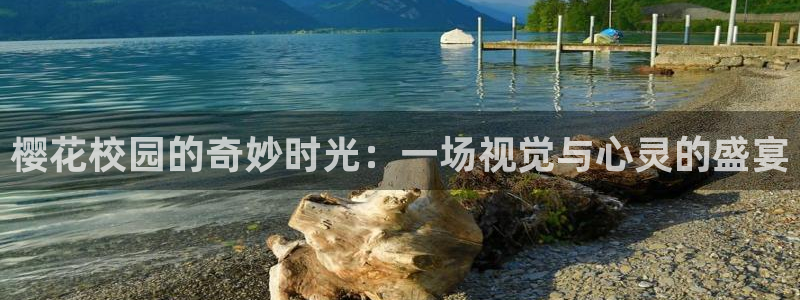 星空影视在线观看免费全集