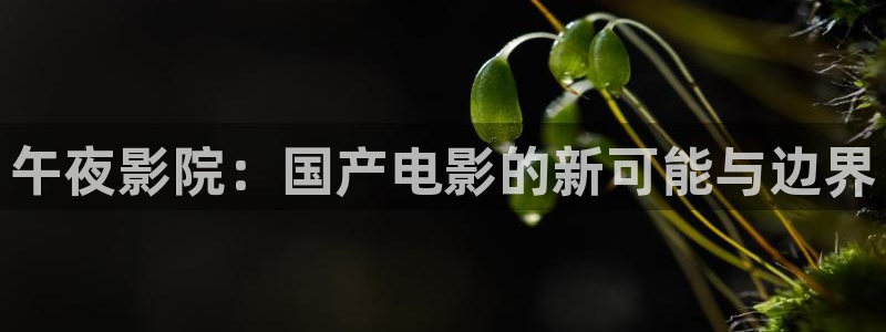 精东影业高清电影好看的电视剧