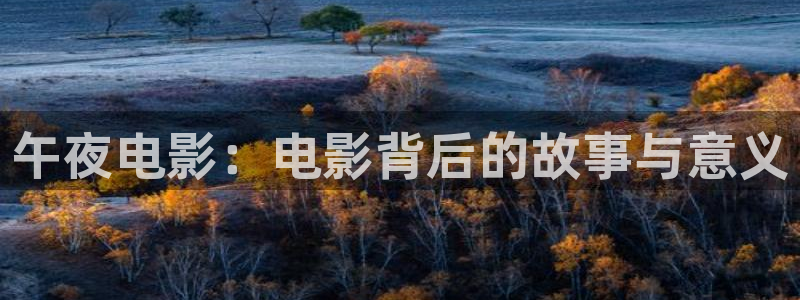 在线观看星空影视