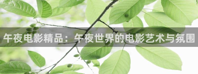星空电影网免费观看