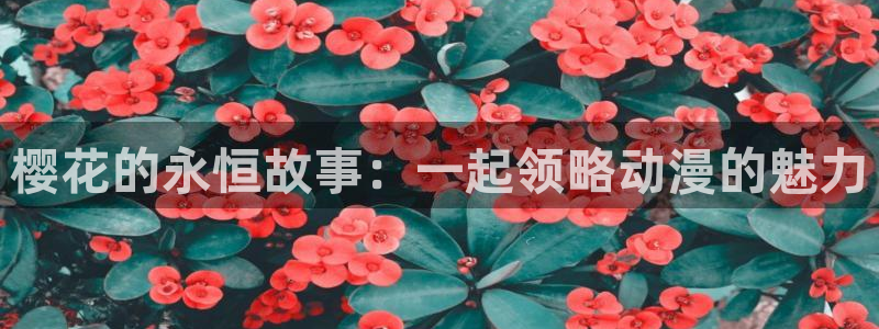 星空图片大全