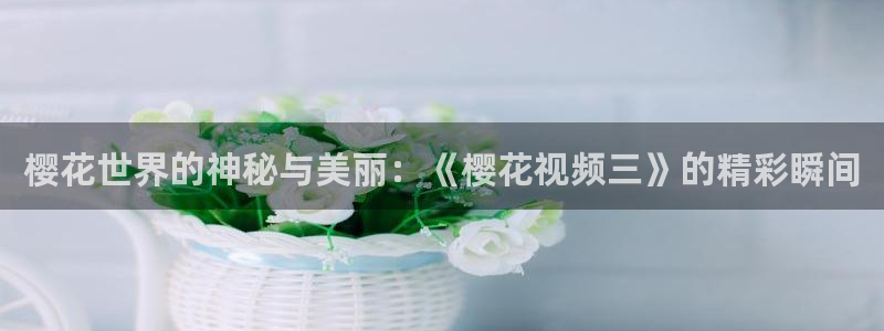 星空盒子电影影院