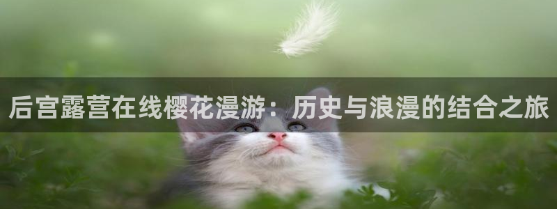 星空类电影