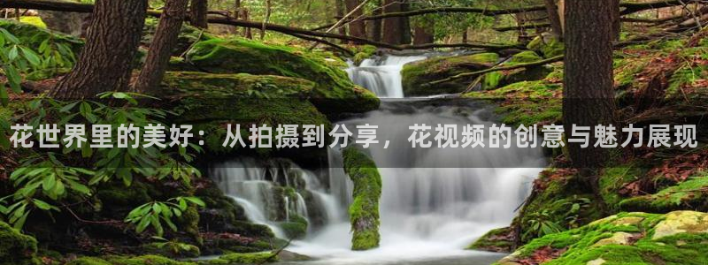 精东影业电视剧免费看入口