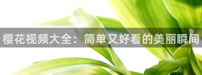 精东影业 伦理片