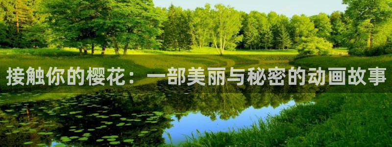 星空无限传媒免费观看高清
