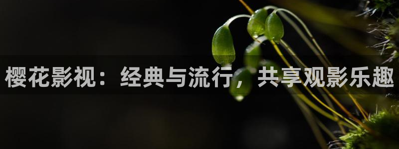 雁回时在线观看精东影业