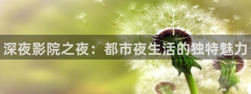 星空视频在线观看免费播放电影