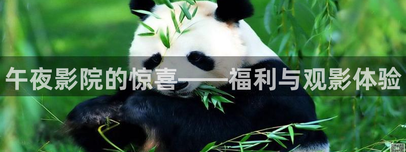 精东影业电影电视剧完整版在线看