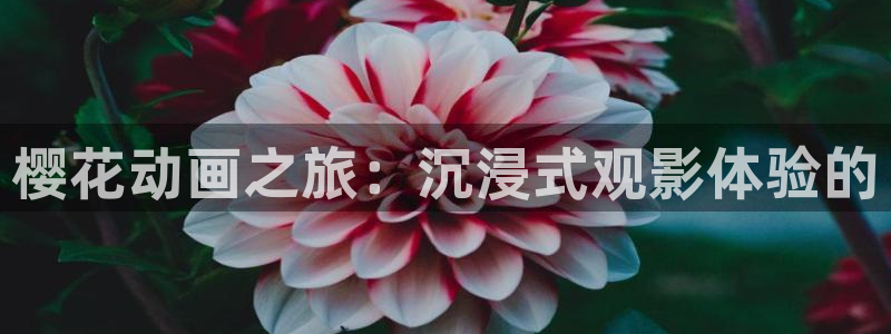 《雁回时》精东影业