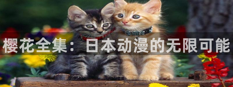 星空影视无限传媒