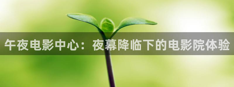 星空影业