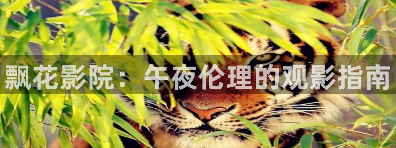 郑州精东影业影讯
