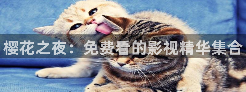 精东影业高清电视剧