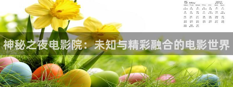 激情视频精东影业
