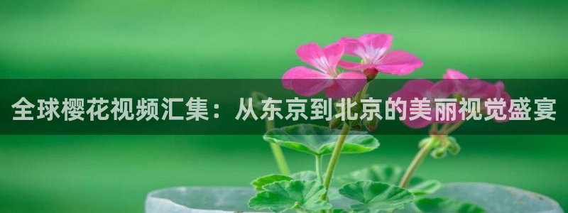 精东影业免费网站