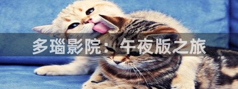 星空传媒 在线观看