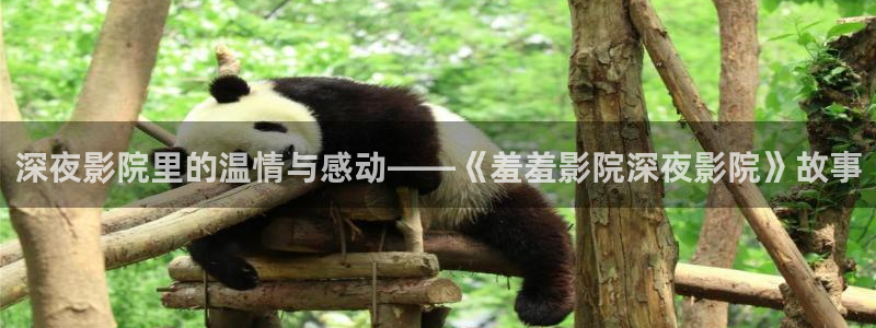 风车动漫动漫星空