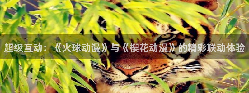 精东影业在线观看免费全集